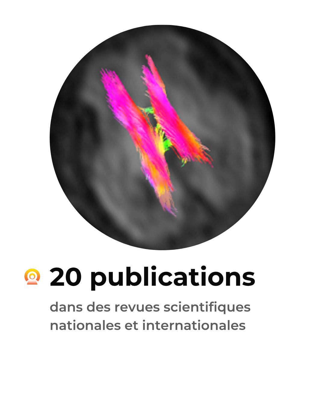 PL – Chiffres clés site Internet (5)