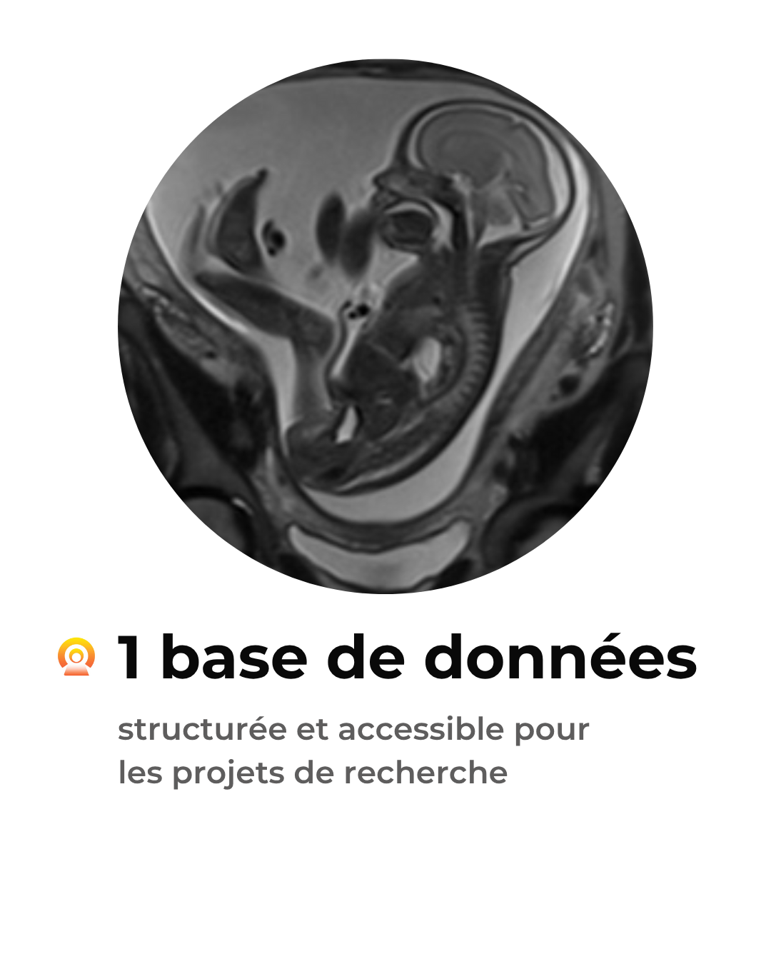 PL – Chiffres clés site Internet (6)