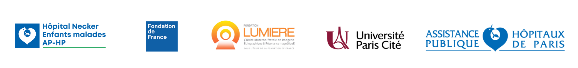 Trame_bandeau_mail_Plateforme LUMIERE.pdf